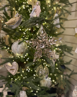 Divine Night Collection