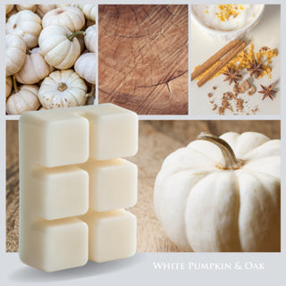 Wax Melt - White Pumpkin & Oak #7974s