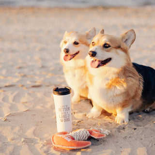 WP - Lake Dog - 17oz Stainless Steel Travel Tumbler #68441