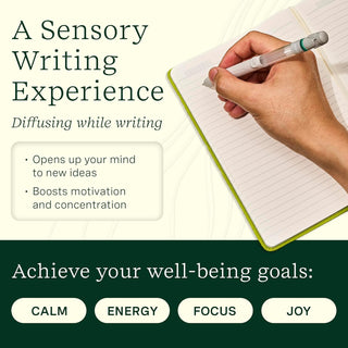 Pen Diffuser W/Essential Oil Blends - Crisp Mountain Air #11-2504