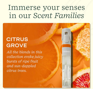 Pen Diffuser W/Essential Oil Blends - Citrus Grove #11-2502