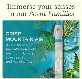 Pen Diffuser W/Essential Oil Blends - Crisp Mountain Air #11-2504
