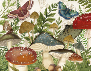 Botanical Mushrooms Boxed Note Cards #1005989