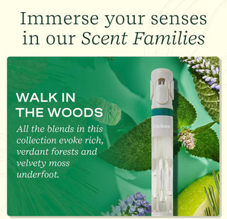 Pen Diffuser W/Essential Oil Blends - Walk In The Woods #11-2503