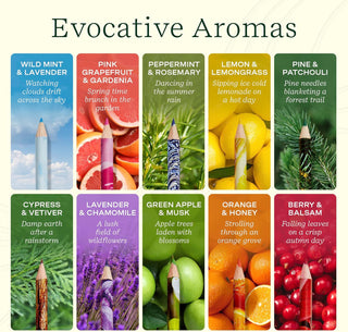 Rub & Sniff Scented Colored Pencil 10-Pack #11-2507