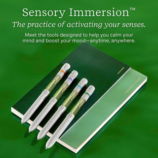 Pen Diffuser W/Essential Oil Blends - Crisp Mountain Air #11-2504