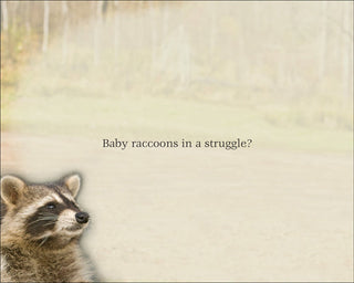 Cutest Critter #32536