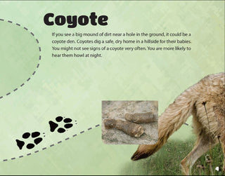 Critter Litter (National) #35902