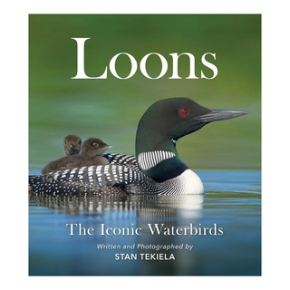 Loons: The Iconic Waterbirds #52091