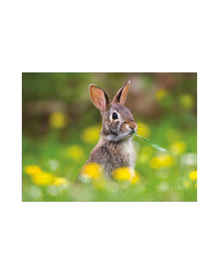 Whose Baby Butt? #37838