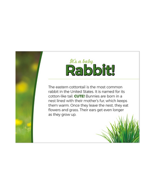 Whose Baby Butt? #37838