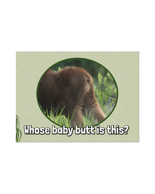 Whose Baby Butt? #37838