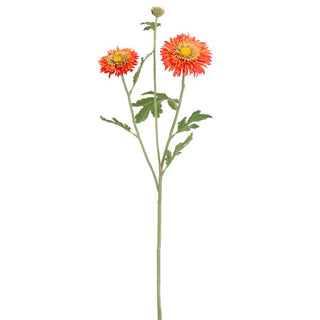 Gerbera Daisy Spray #FSG548-FL/OR