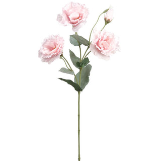 Lisianthus Spray #FSL583-PK