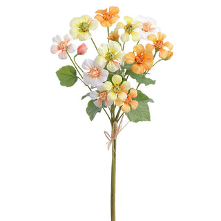 Nasturtium Bundle #FBN352-YE