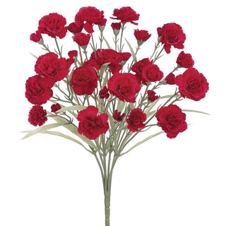 Carnation Bush #FBC175-RE