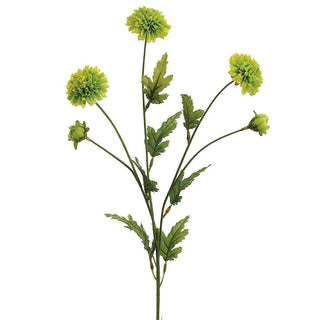 Pom Pom Mum Spray #FSM971-GR