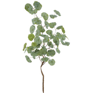 Galax Leaf Vine #PVG002-GR