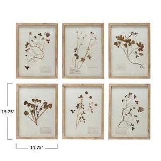 Framed Wall Decor With Botanicals #DF4178A