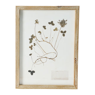 Framed Wall Decor With Botanicals #DF4178A