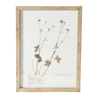 Framed Wall Decor With Botanicals #DF4178A