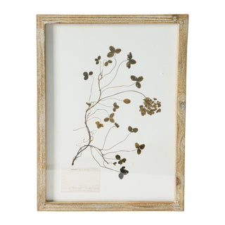 Framed Wall Decor With Botanicals #DF4178A