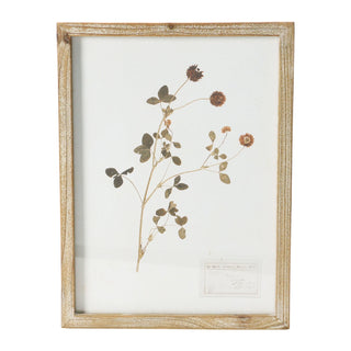 Framed Wall Decor With Botanicals #DF4178A