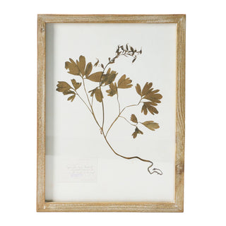 Framed Wall Decor With Botanicals #DF4178A