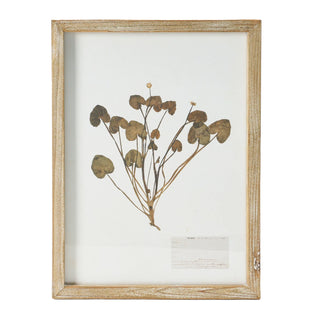 Framed Wall Decor With Botanicals #DF4178A