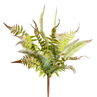 Medium Fern #G1-2387