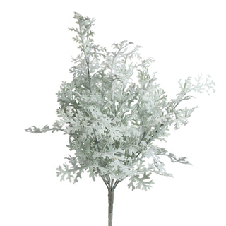 Dusty Miller #G1-8530